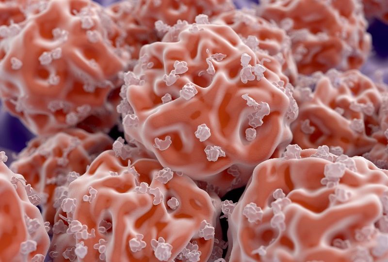 Mesenchyme for website